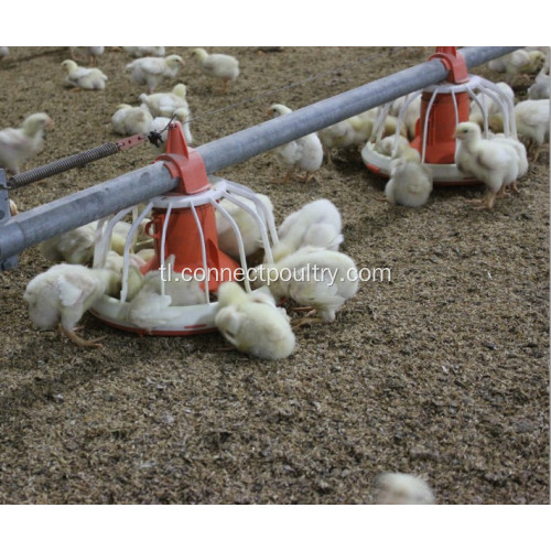 Broiler Automatic Feeding System